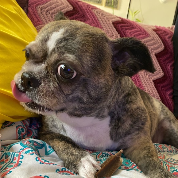 Meet your Posher, Karina - Picture 3 of 10